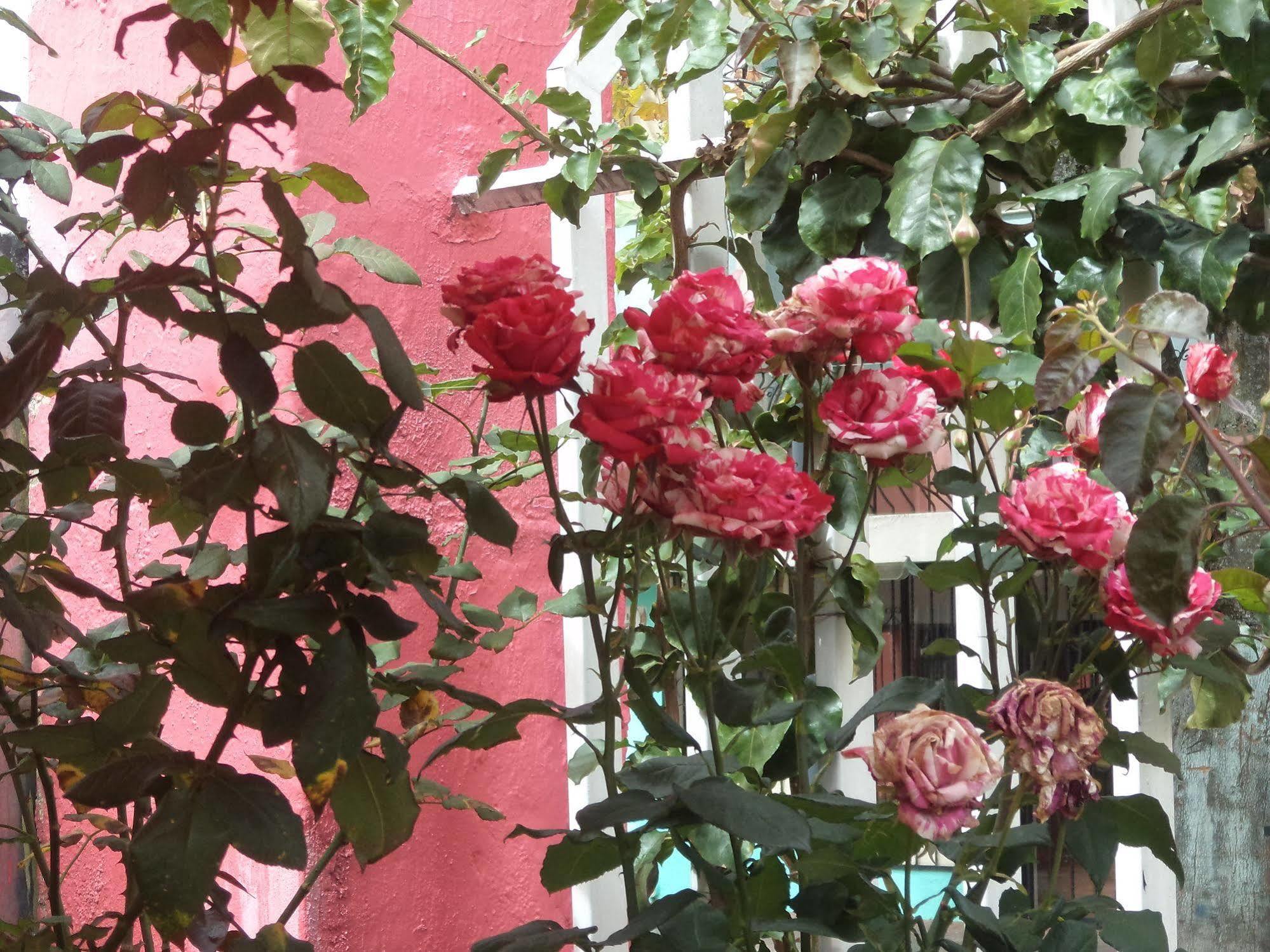 קיטו Hostal Imperial מראה חיצוני תמונה